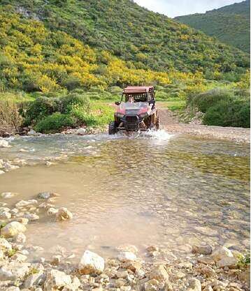 רייזרים בטבע // צילום: טרקטורוני דישון